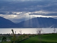 Mosquitos in Saratoga Springs, UT