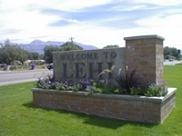 Fleas in Lehi, UT